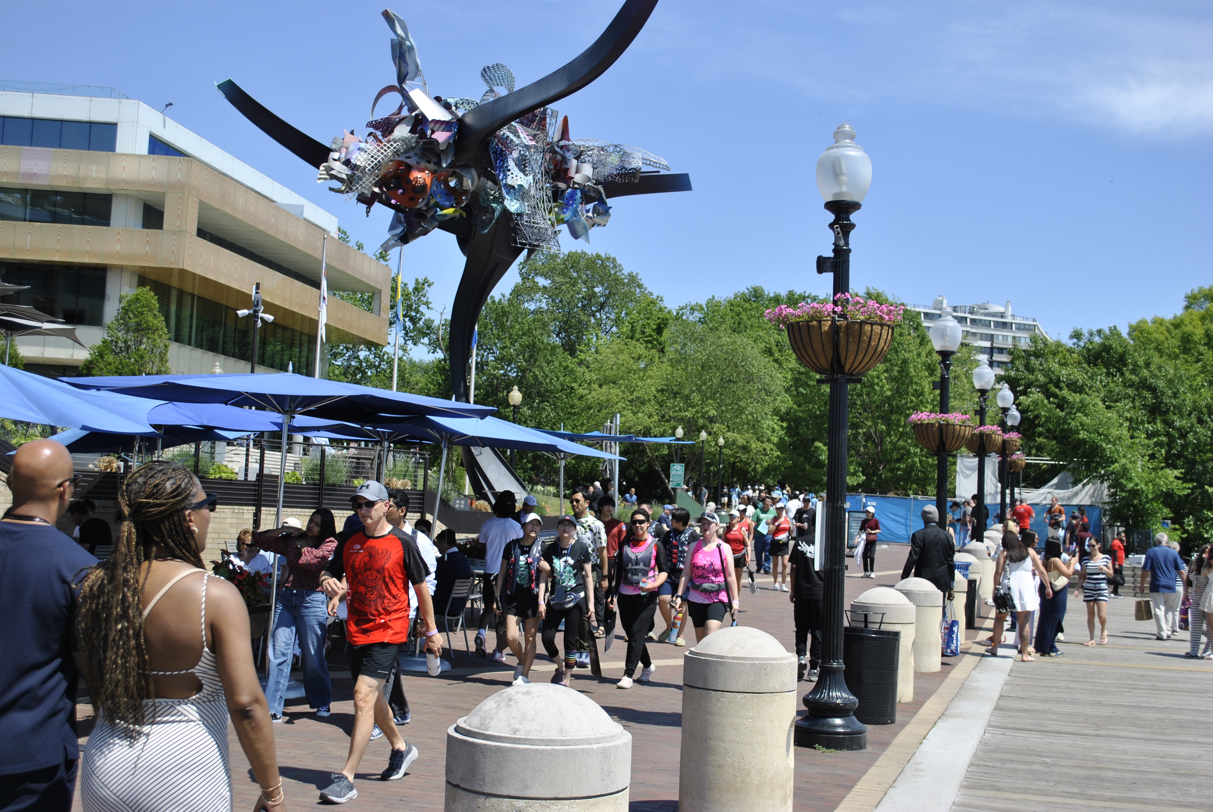 DC Dragon Boat Festival at Georgetown Waterfront Park